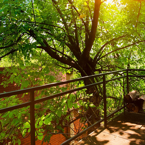 Glamping brvnara igrice